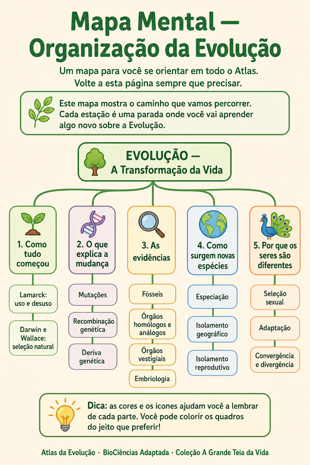 Página de amostra