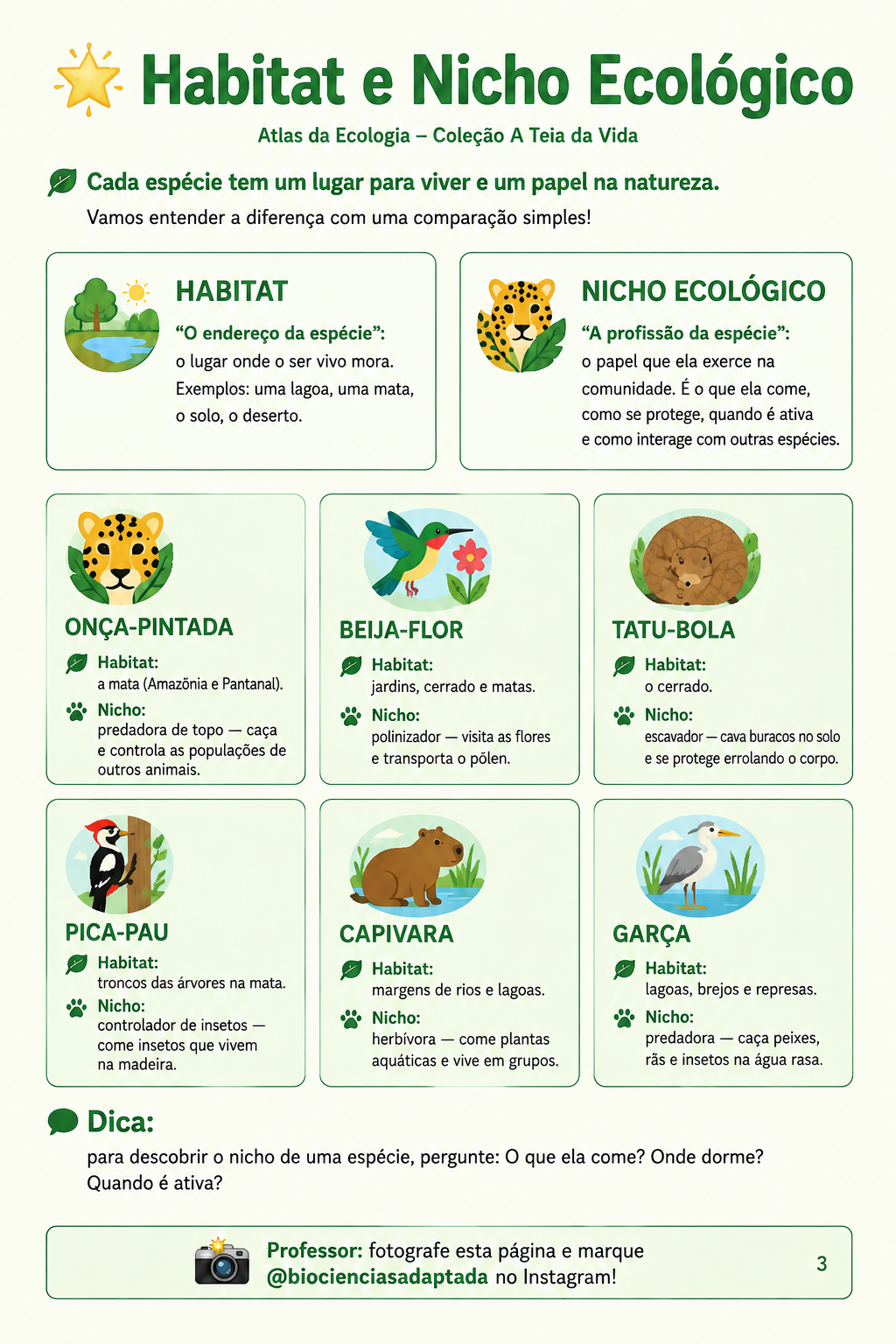 Página de amostra