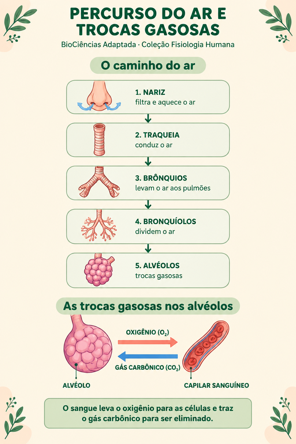 Página de amostra