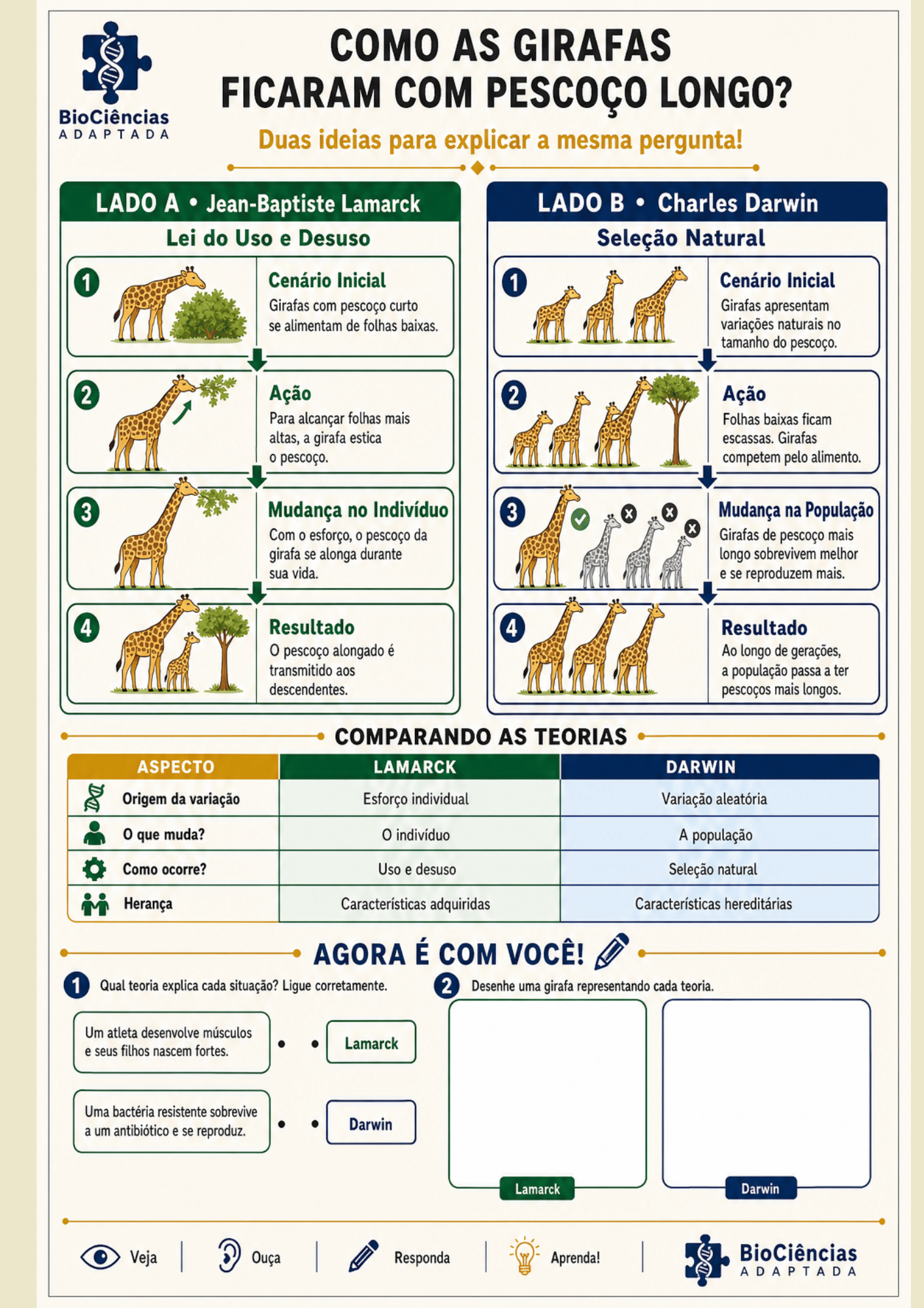 Página de amostra