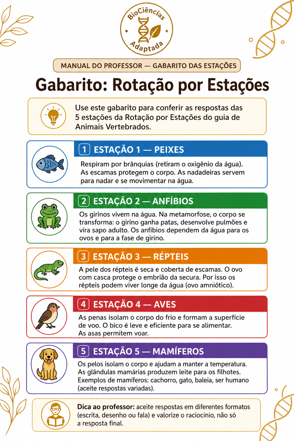 Página de amostra