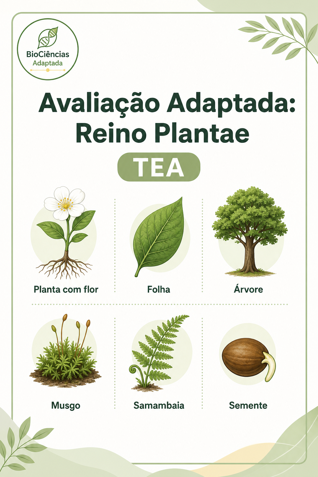 Página de amostra