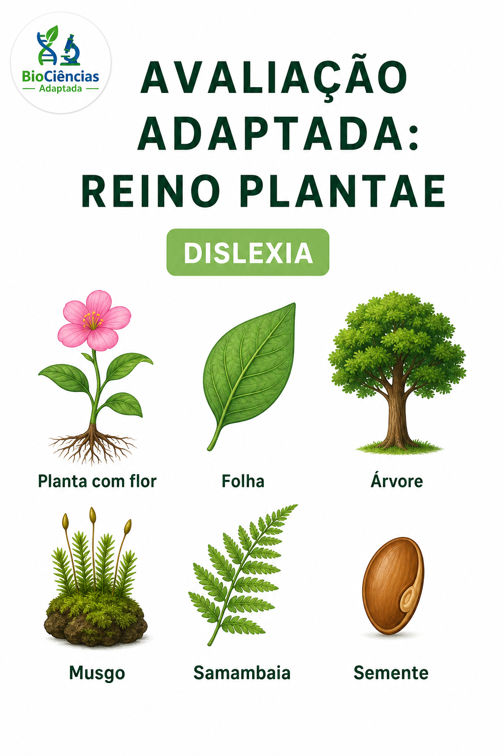 Página de amostra