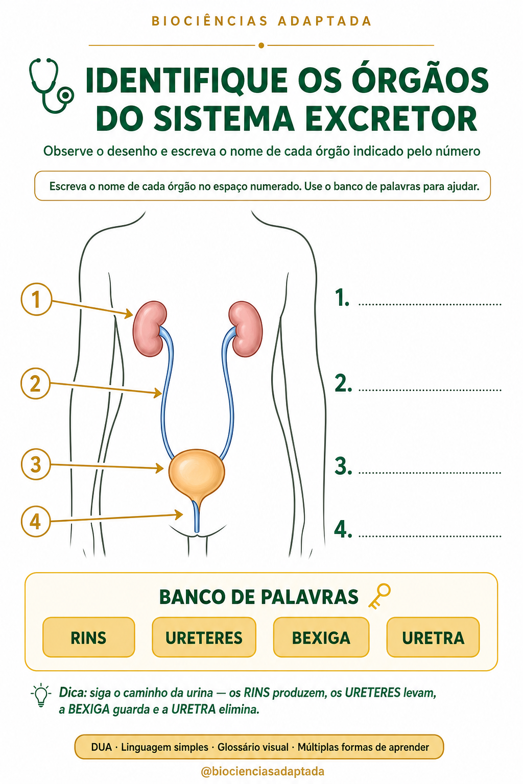 Página de amostra