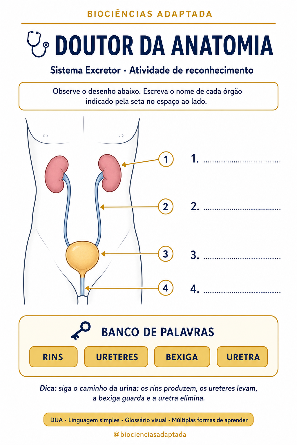 Página de amostra