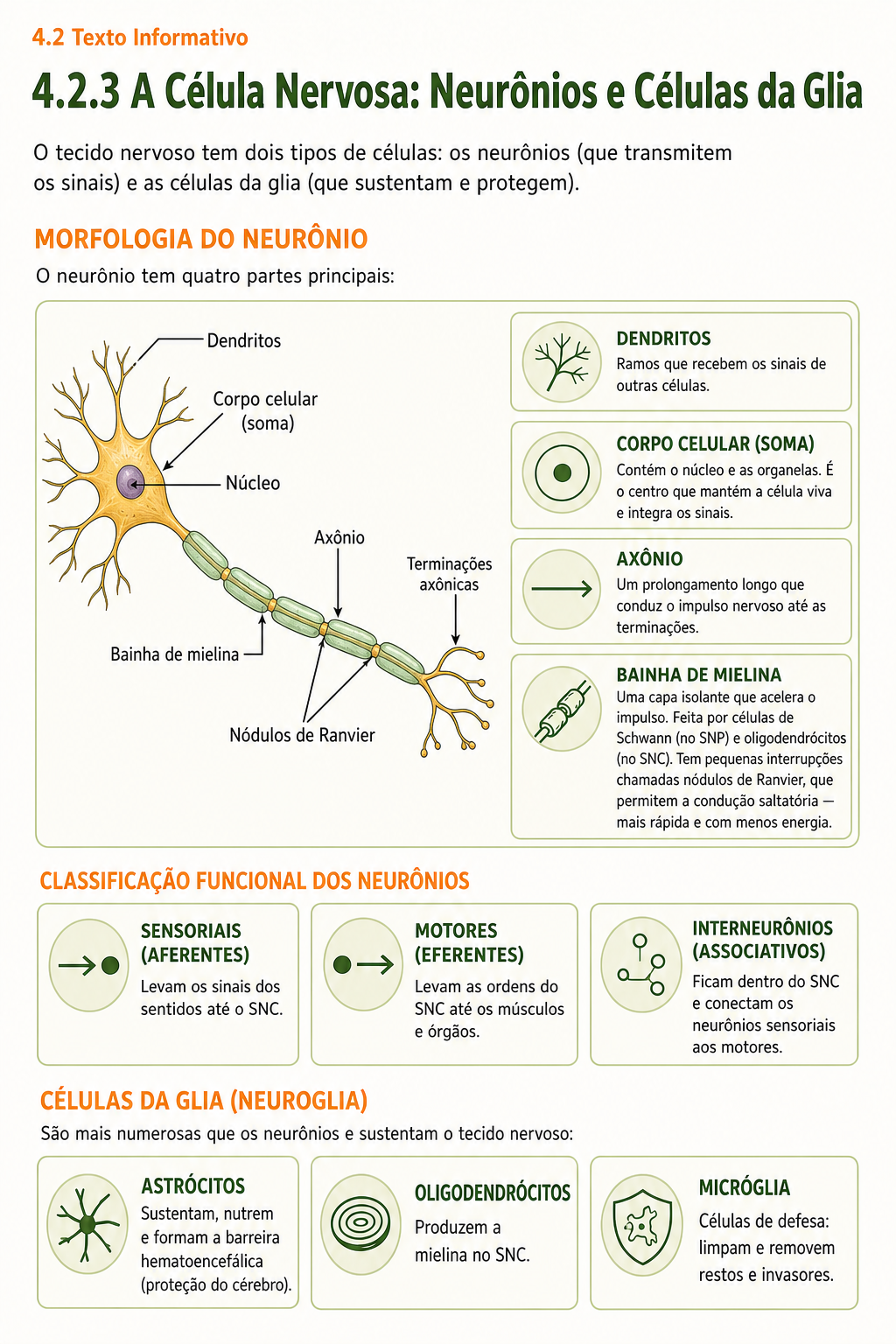 Página de amostra