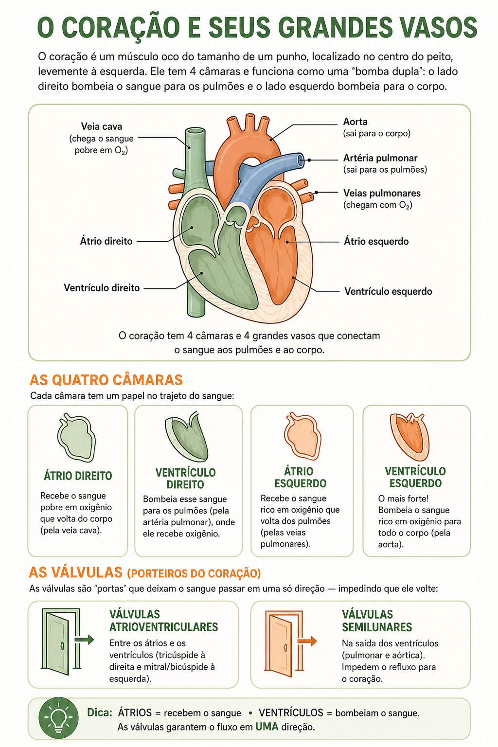 Página de amostra