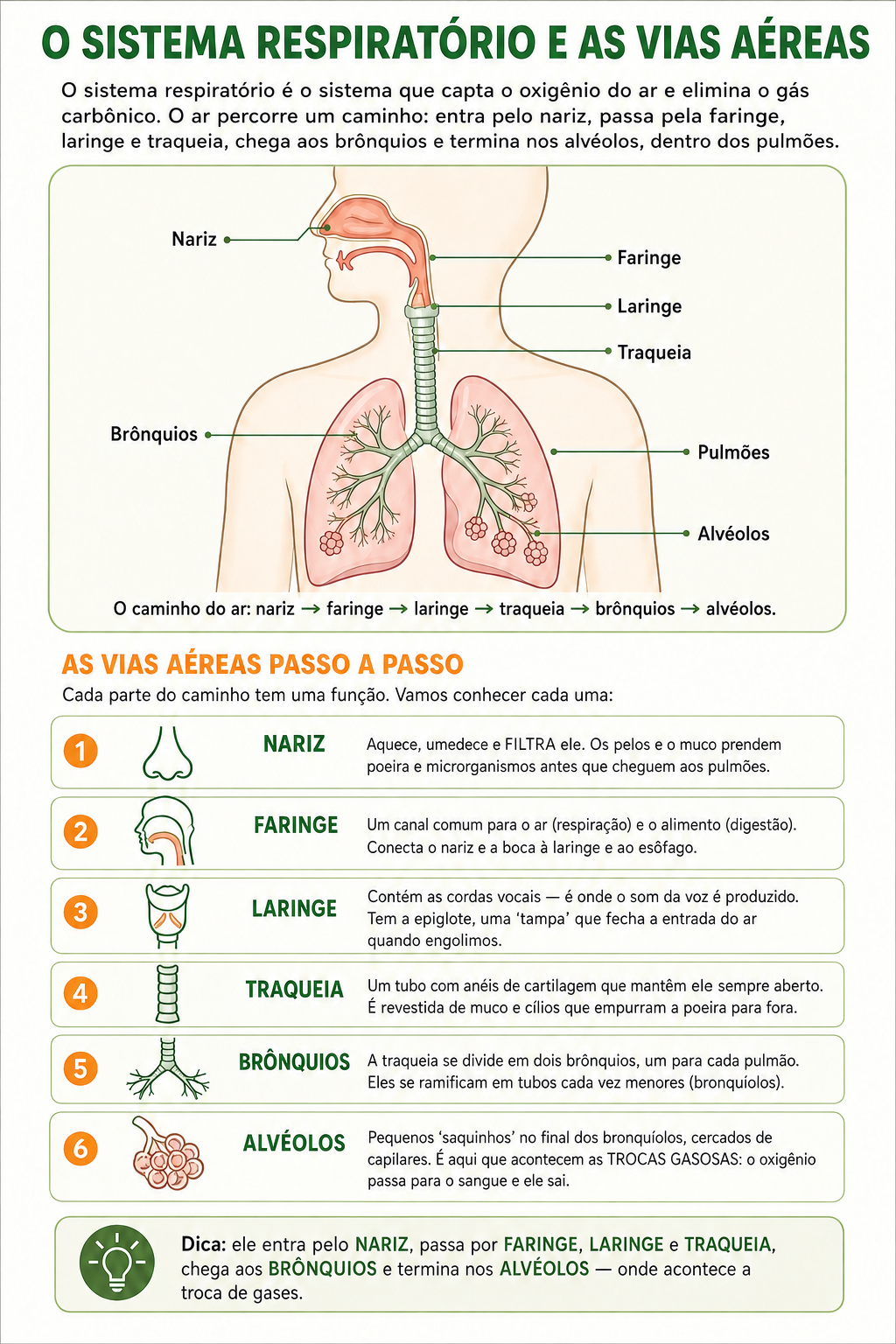 Página de amostra