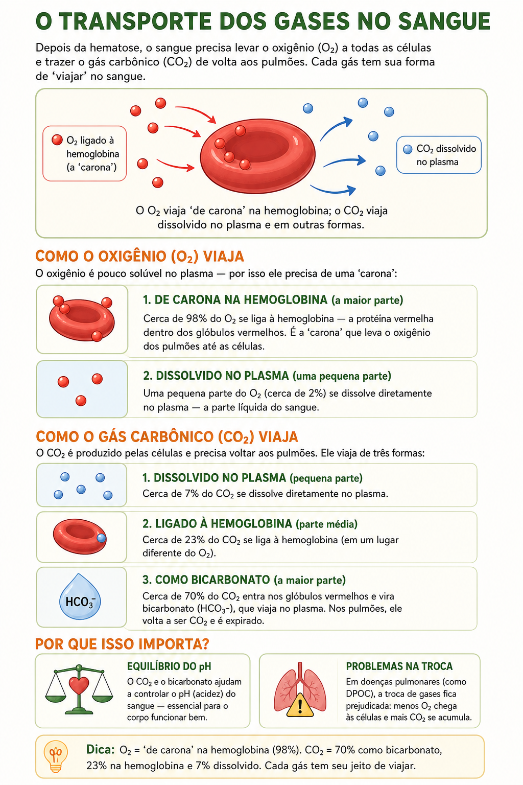 Página de amostra