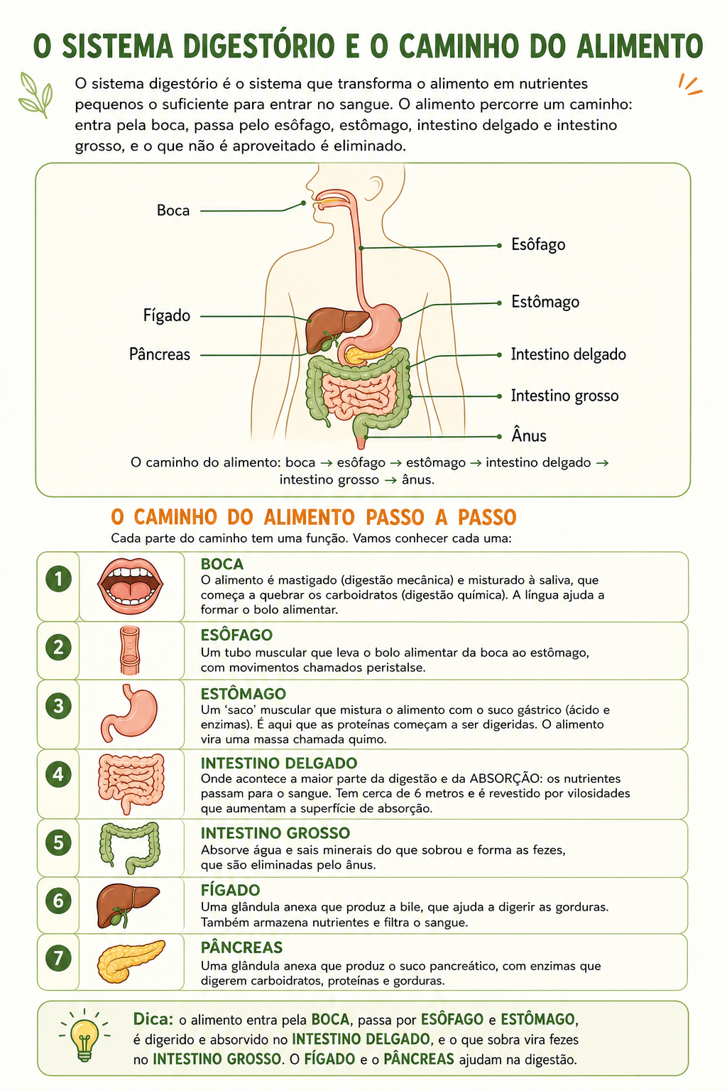 Página de amostra