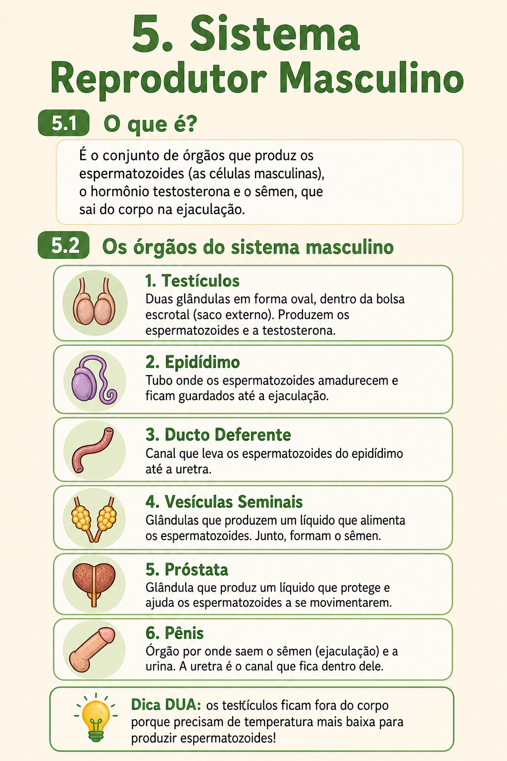 Página de amostra