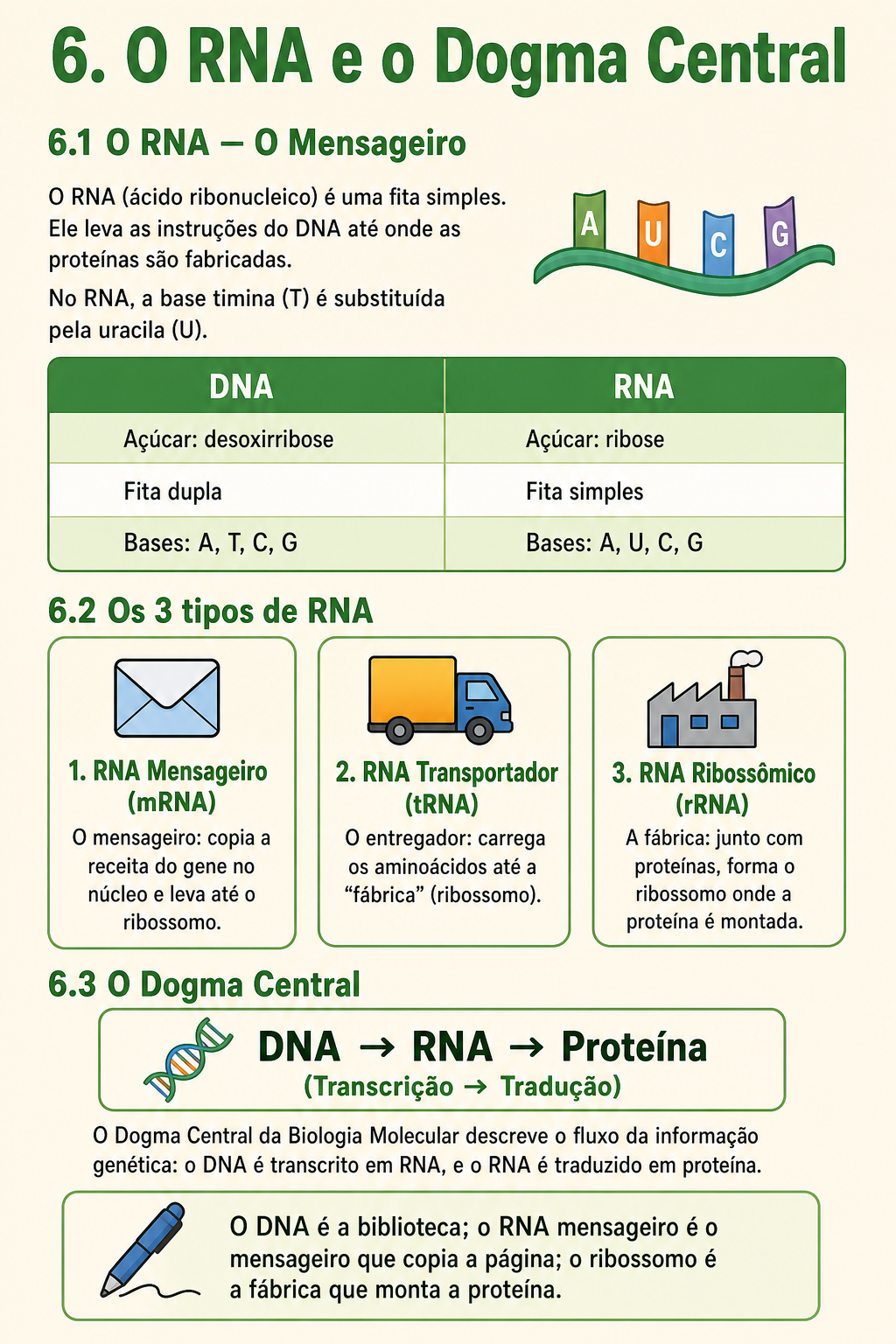 Página de amostra