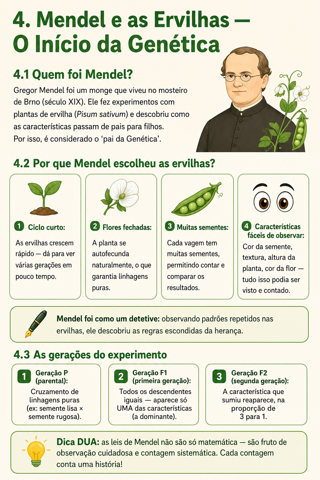 Página de amostra