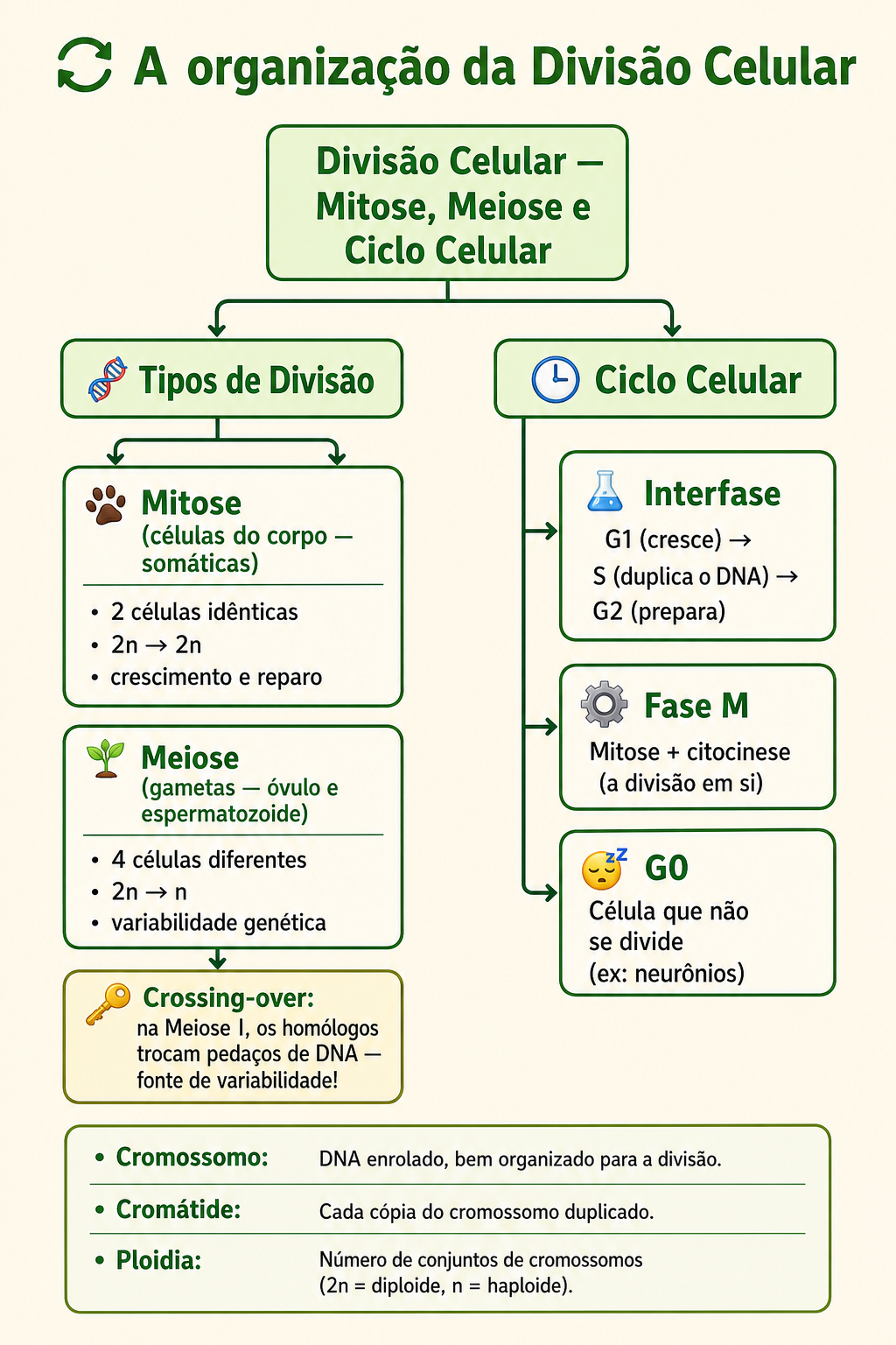 Página de amostra