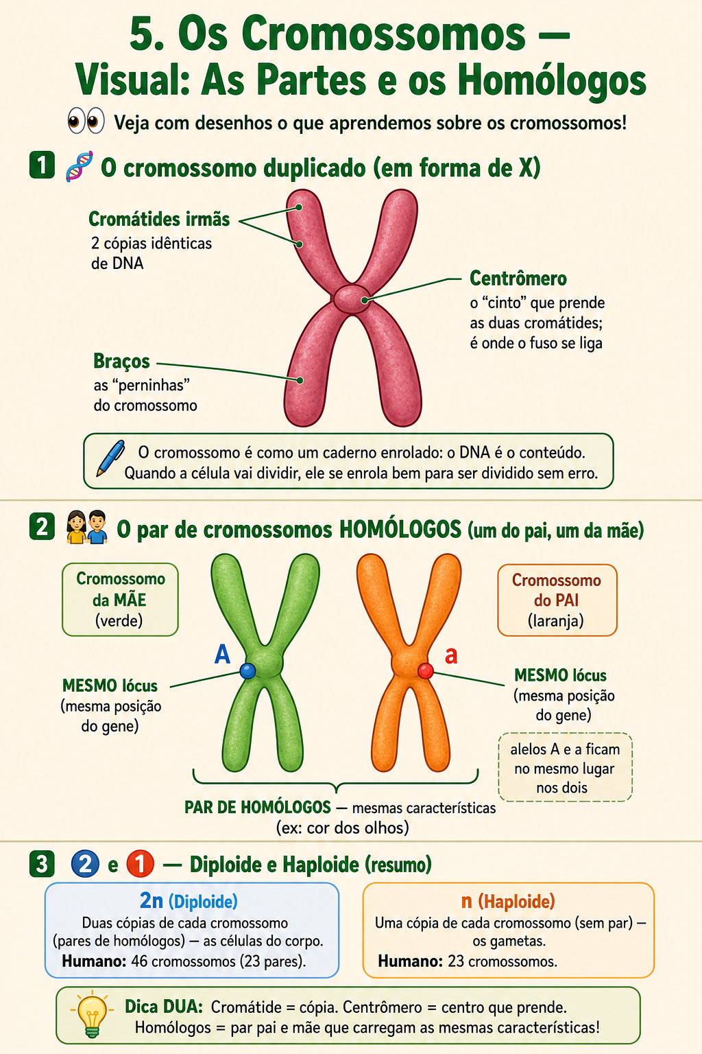 Página de amostra