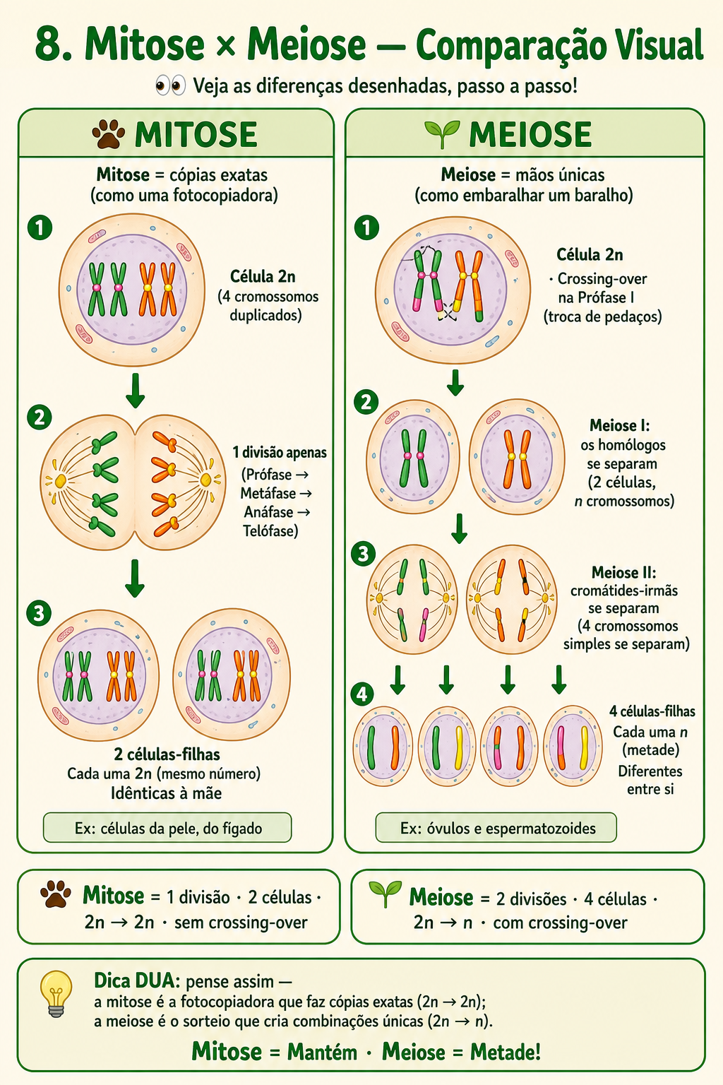 Página de amostra