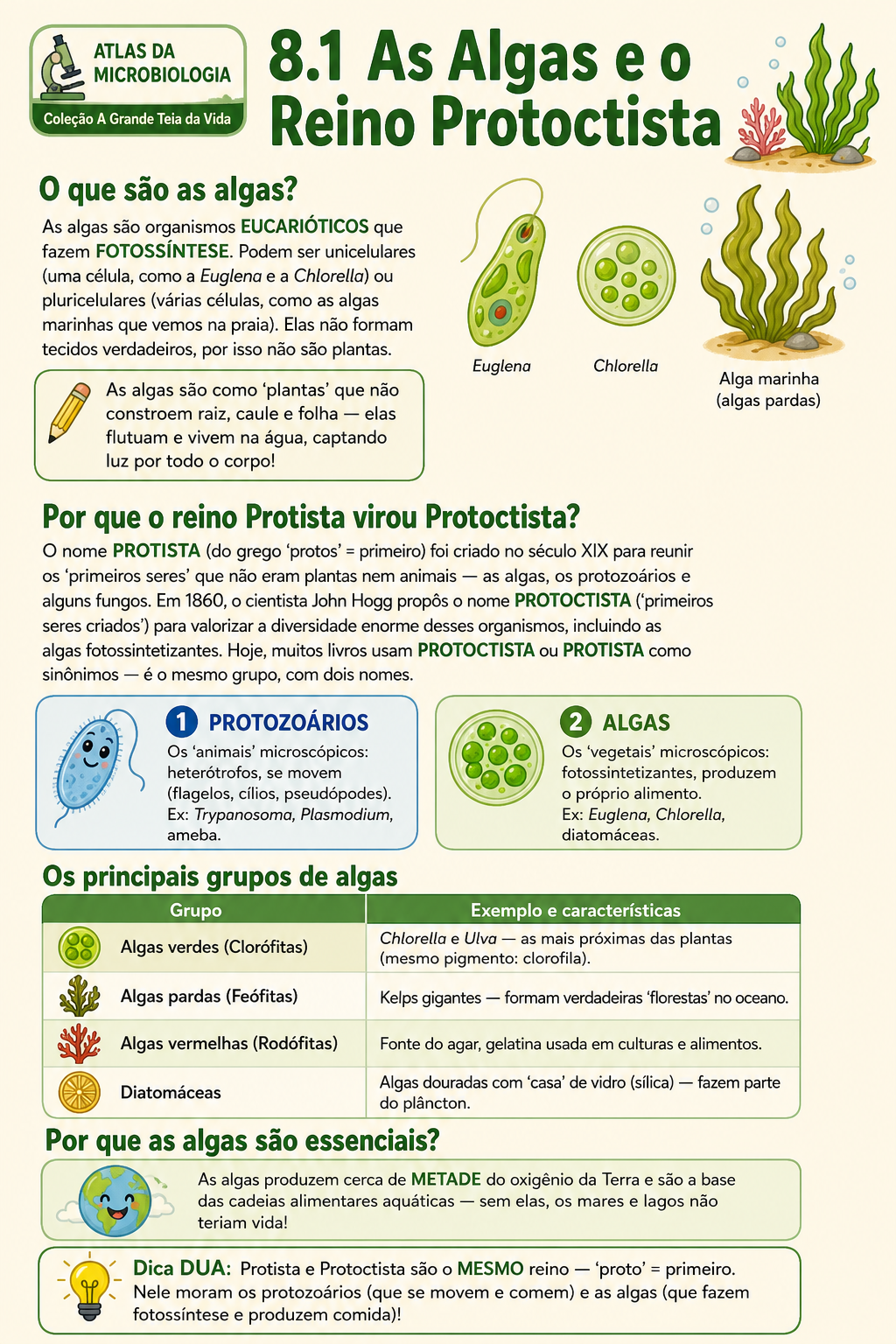 Página de amostra
