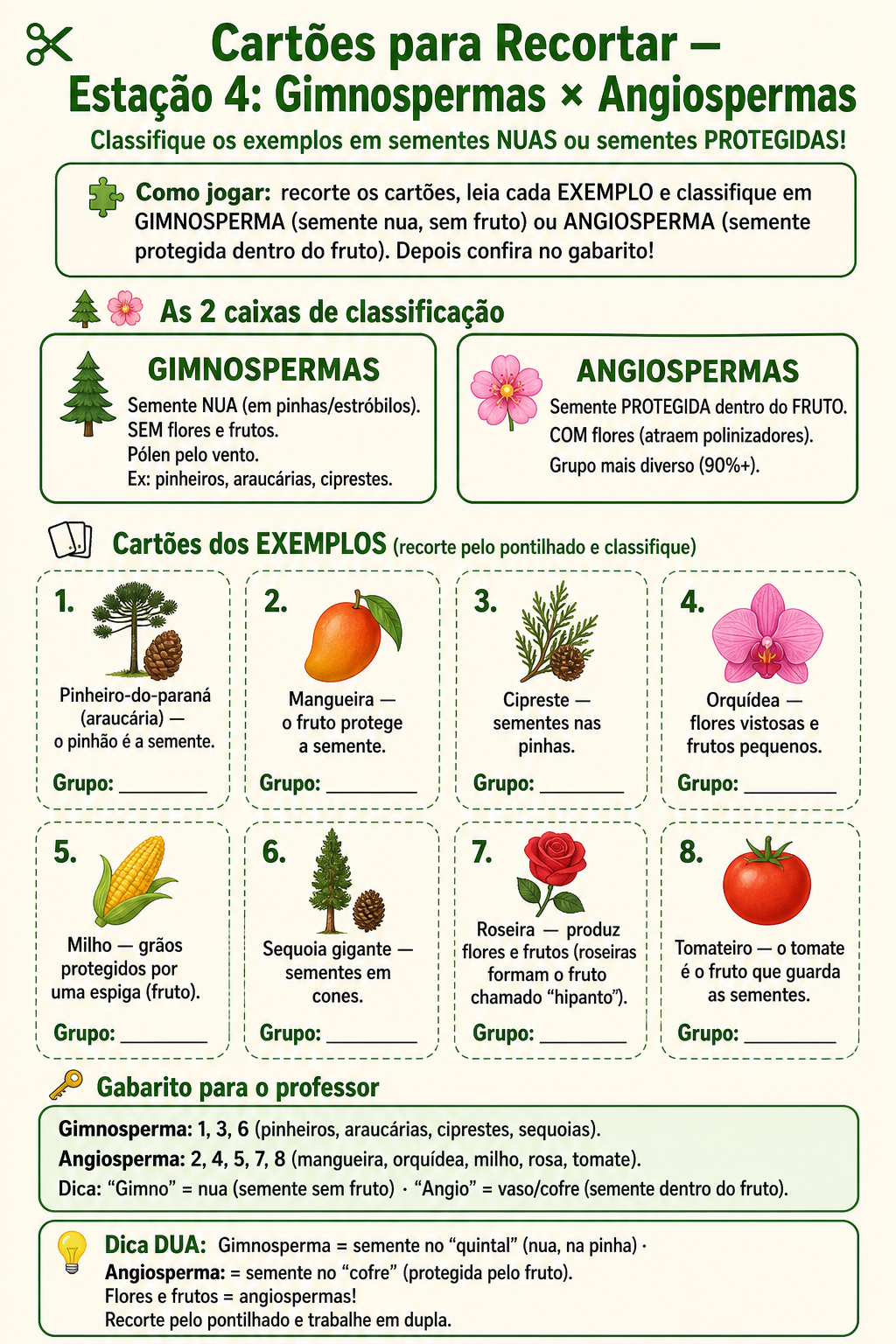 Página de amostra