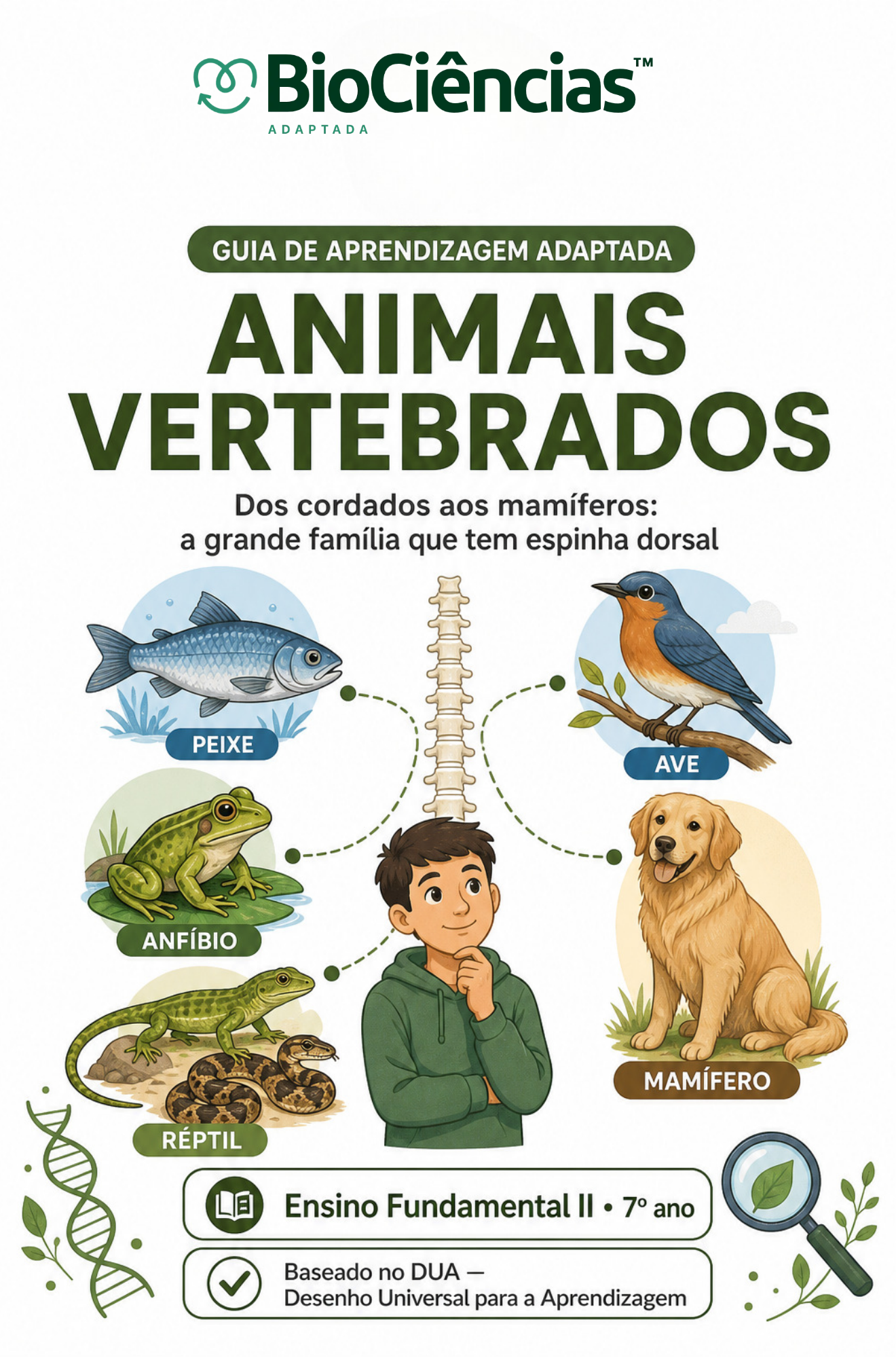 Capa de Guia de Aprendizagem Adaptada- Animais Vertebrados