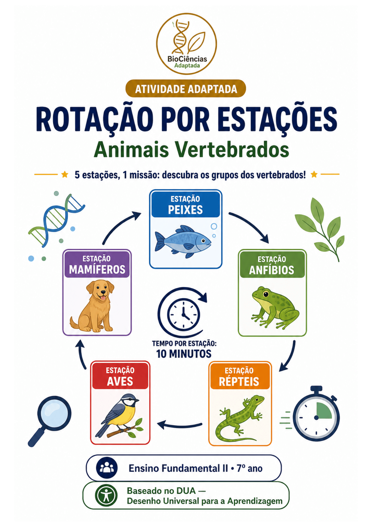 Capa de Atividade Adaptada- Rotação por estação: Animais vertebrados