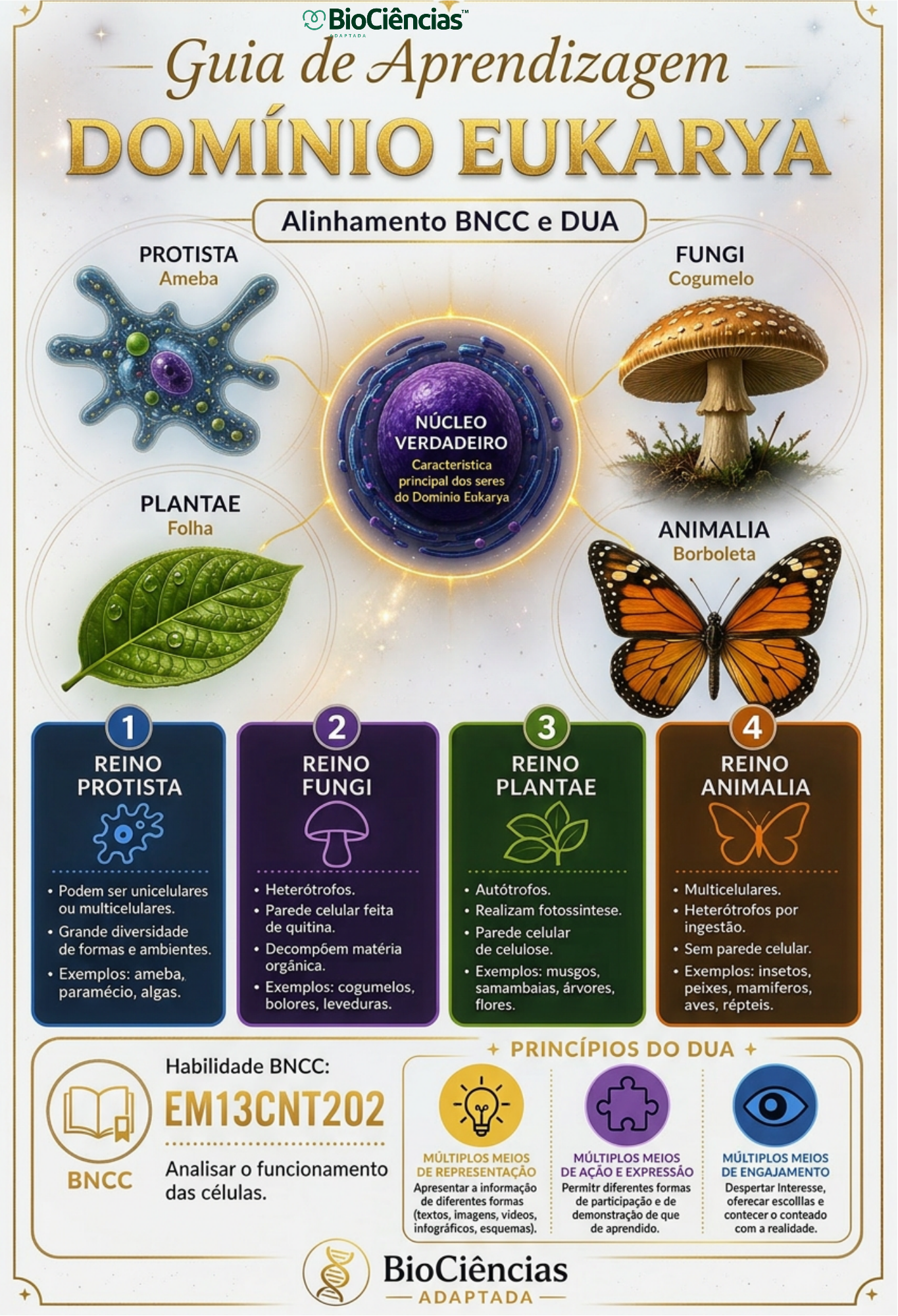Capa de Guia de Aprendizagem Adaptada - Domínio Eukarya