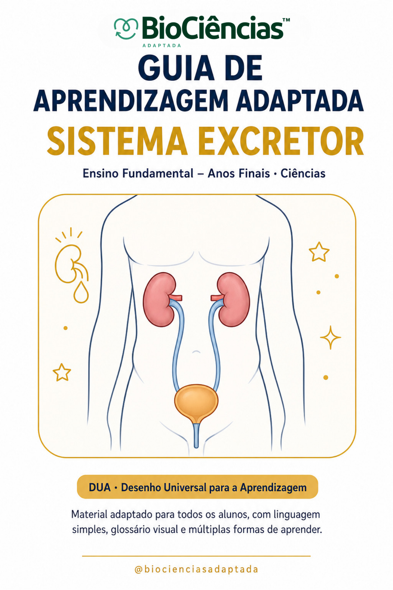 Capa de Guia de Aprendizagem: Sistema Excretor