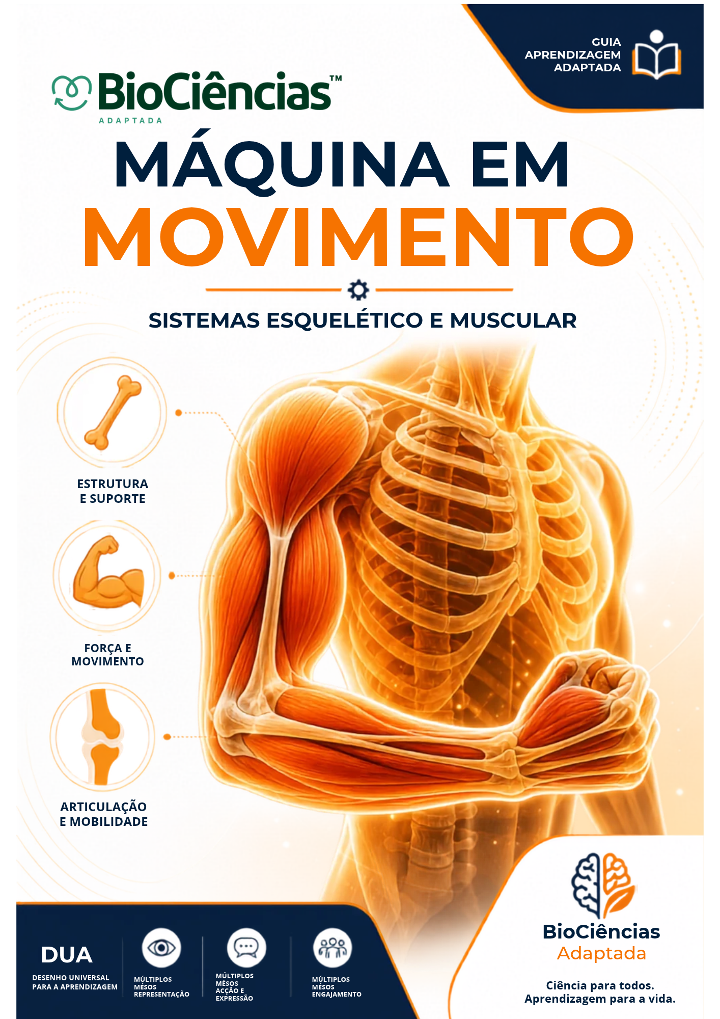 Capa de Máquina em Movimento: sistemas esquelético e muscular